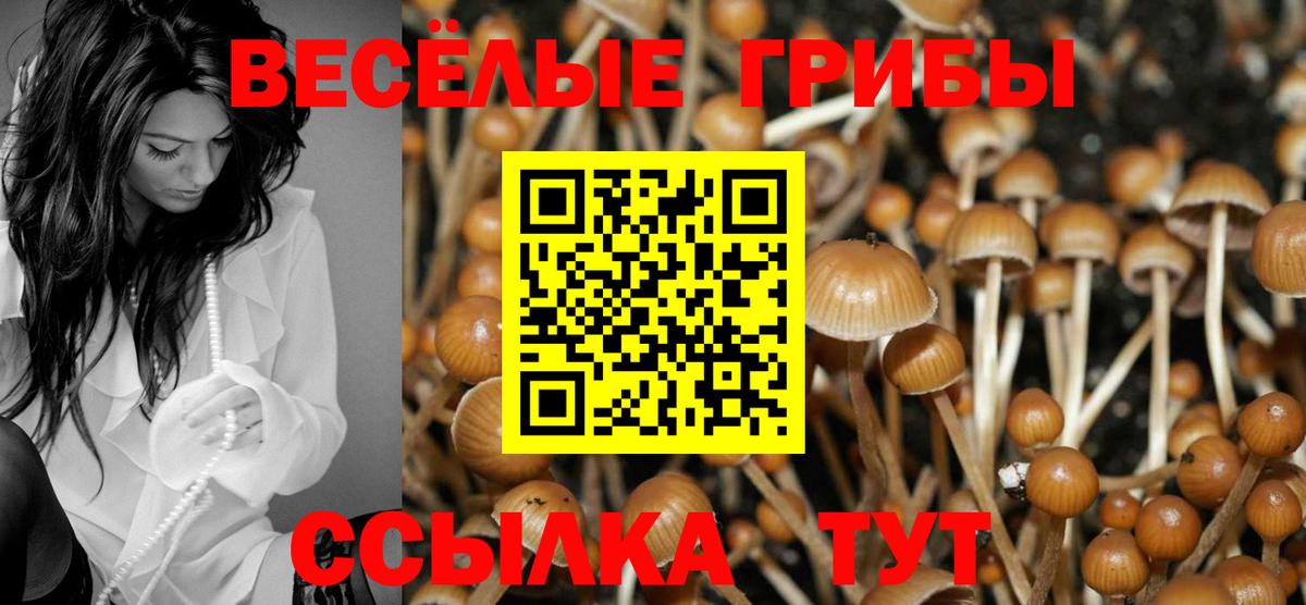 Галлюциногенные грибы прущие грибы Назарово