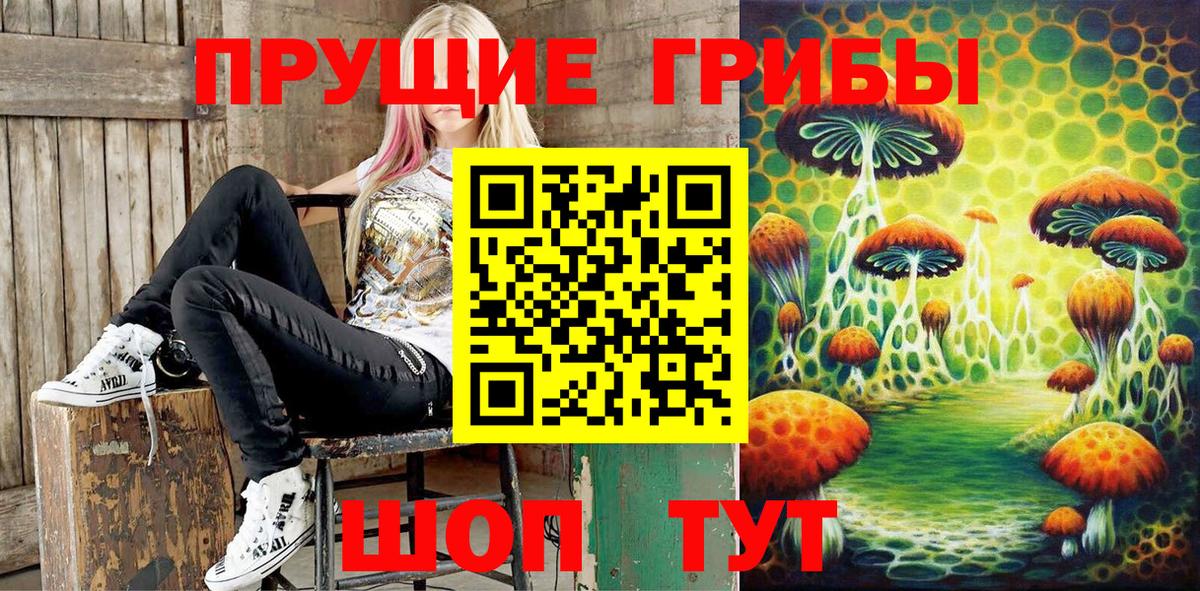 купить наркотики сайты  Вход с VPN  Назарово  Псилоцибиновые грибы Magic Shrooms 
